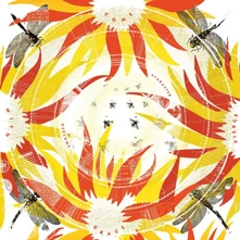 Alabaster DePlume, CD COME WITH FIERCE GRACE