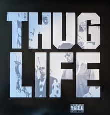 Vinyl Thug Life: Volume 1