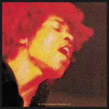 Electric Ladyland