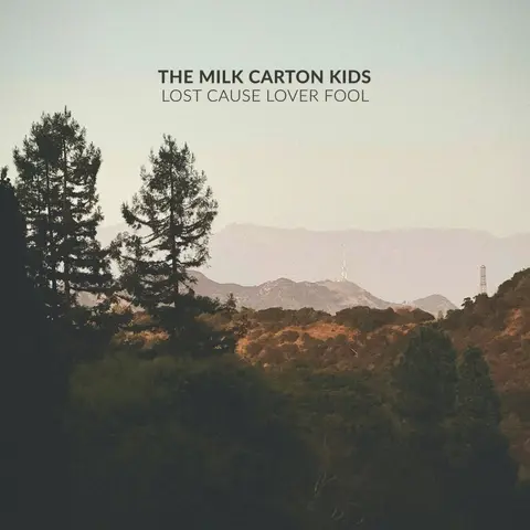 LOST CAUSE LOVER FOOL