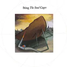 Vinyl The Soul Cages
