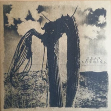 Fear Falls Burning, Vinyl FUNCTION COLLAPSE