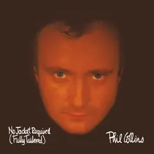 No Jacket Required (LTD) thumbnail