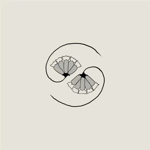 G_D'S PEE AT STATE'S END (LP+10")