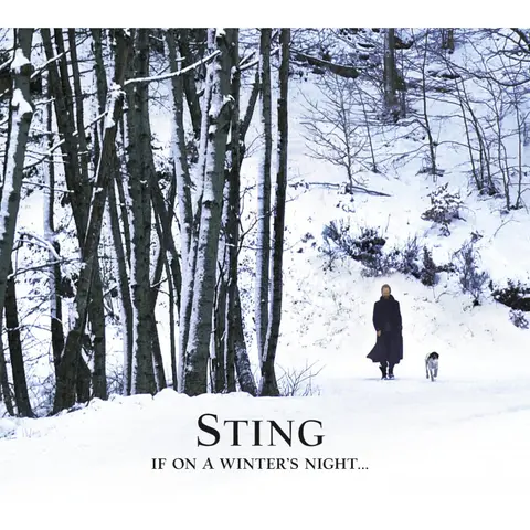 If On A WinterS Night
