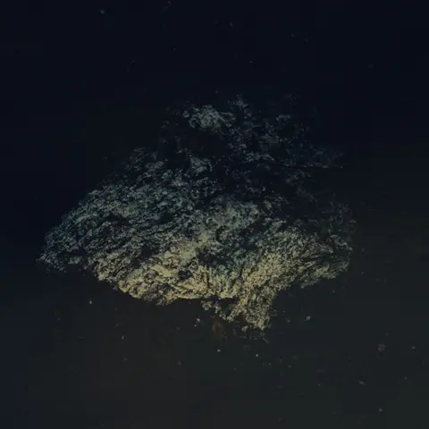 LOST WORLD