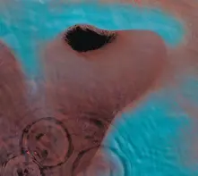 Meddle thumbnail