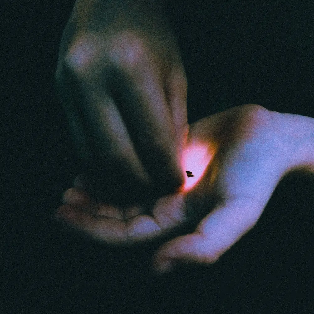 Bambara – STRAY (Vinyl)