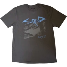 Staind, Tričko Break The Cycle, Unisex, Šedá