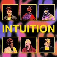 Brooklyn Funk Essentials, Vinyl INTUITION