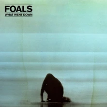 Foals, Vinyl WHAT WENT DOWN