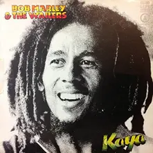 Vinyl & The Wailers - Kaya 40 (40th Anniversary Edition) (Reimagined & Remixed By Stephen Marley)