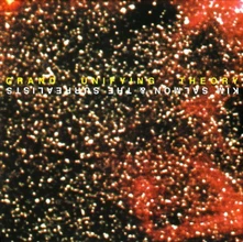 Vinyl GRAND UNIFYING THEORY