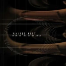 CD RAISED FIST - IGNORING THE GUIDELINES