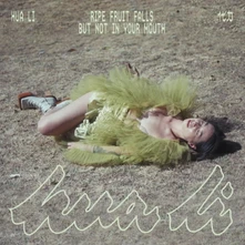 Hua Li, Vinyl RIPE FRUIT FALLS BUT NOT IN YOUR MOUTH