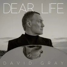 David Gray, CD DEAR LIFE