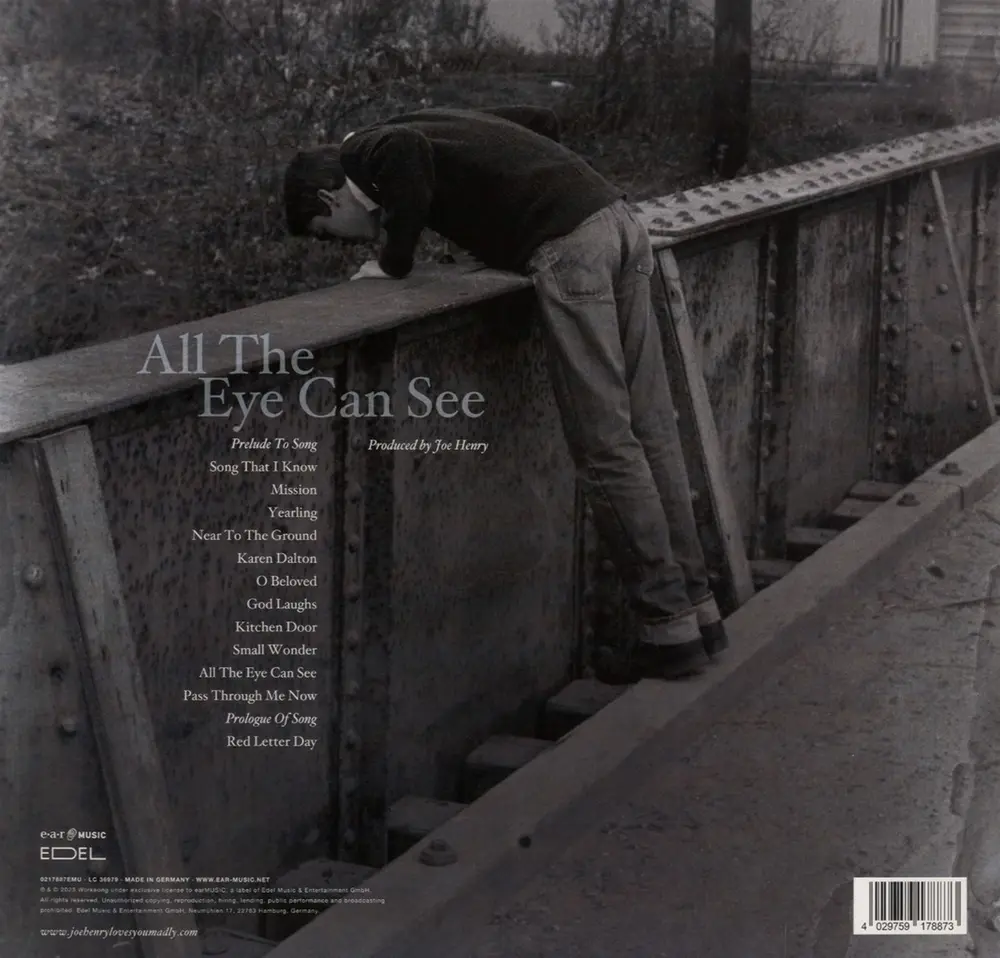 Joe Henry – ALL THE EYE CAN SEE (Vinyl)