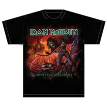From Fear to Eternity Album