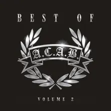Vinyl THE BEST OF VOL. 2