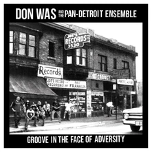 Don Was, CD GROOVE IN THE FACE OF ADVERSITY