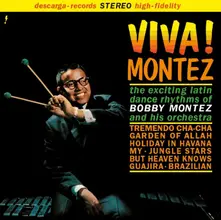 Bobby Montez, Vinyl VIVA!