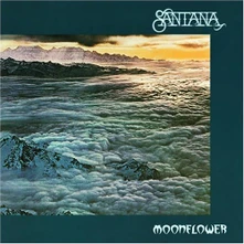 CD Moonflower