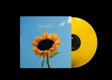 The Snuts, Vinyl JOY IN SHORT MOMENTS