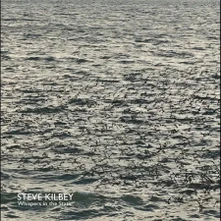 Steve Kilbey, CD WHISPERS IN THE ATTIC