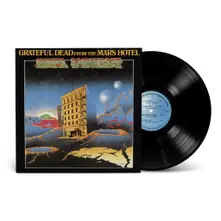 Vinyl FROM THE MARS HOTEL