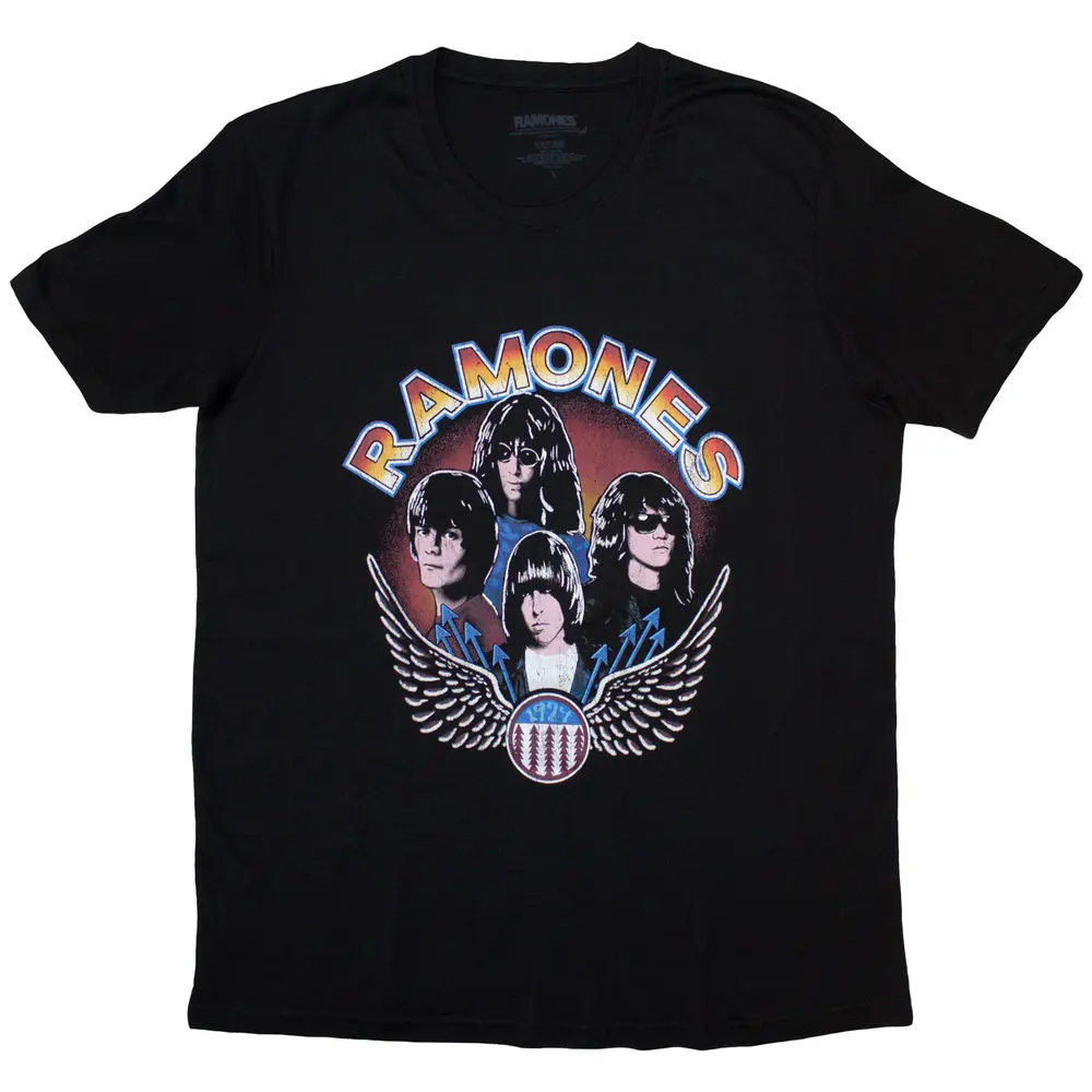 Vintage Wings Photo