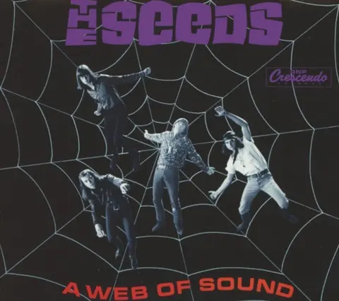 A WEB OF SOUND