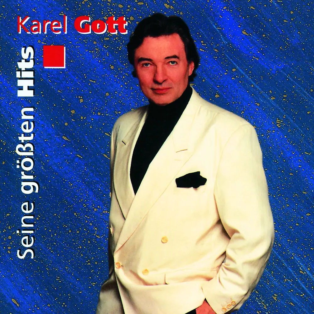SEINE GROSSTEN HITS