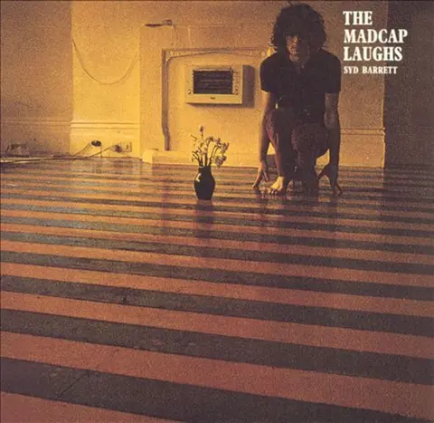 THE MADCAP LAUGHS
