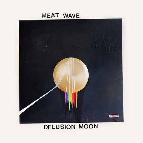 DELUSION MOON