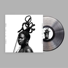 Vinyl EVERYTHING HAS CHANGED