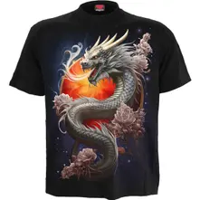 Sun Dragon thumbnail