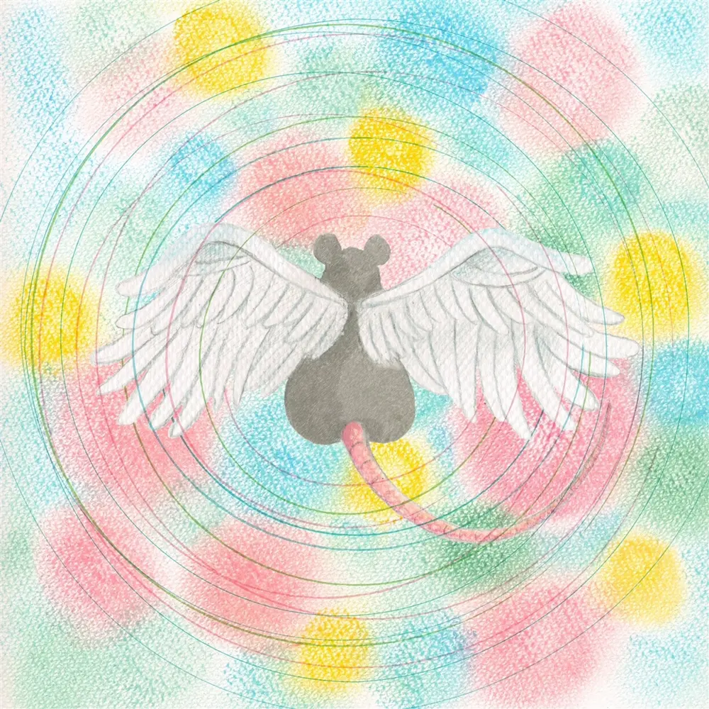 Mei Semones – ANIMARU (CD)
