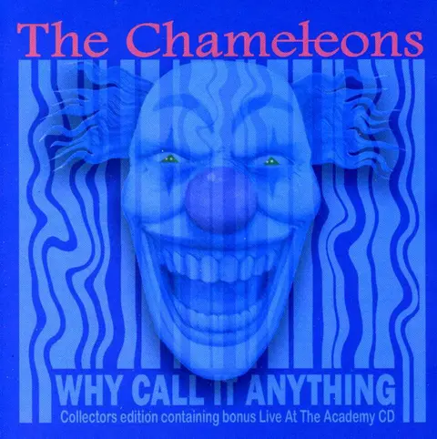 The Chameleons – CD CHAMELEONS - WHY CALL IT ANYTHING