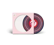 Vinyl Everything Changes (Zoetrope National Album Day 2024 Edition)