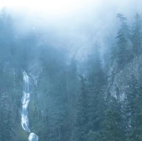 Wolves In the Throne Room - Diadem of 12 Stars