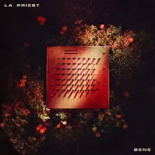 Vinyl GENE