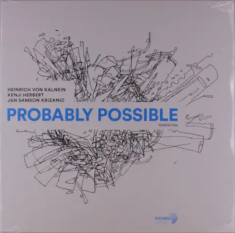 PROBABLY POSSIBLE
