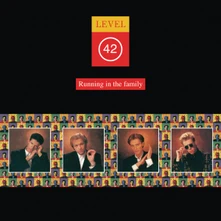 Level 42, Vinyl Running In The Family