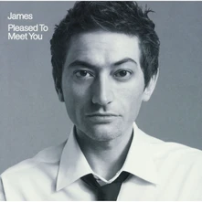 Vinyl JAMES - PLEASED TO MEET YOU