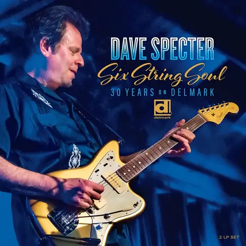 Dave Specter – Vinyl SIX STRING SOUL. 30 YE...