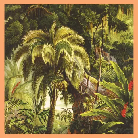 LA FORET