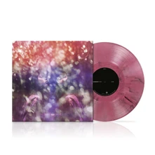 Vinyl Fair Youth (10th Anniversary Remix & Remaster)