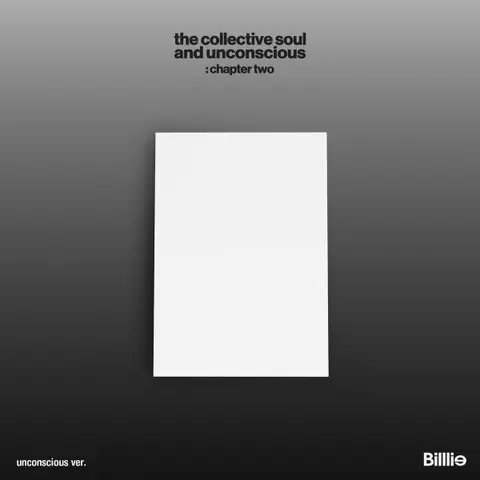 The Collective Soul and Unconscious: Chapter Two