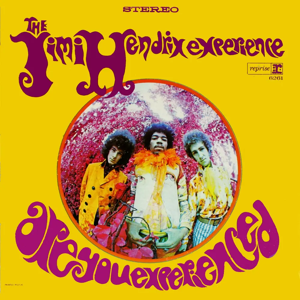ARE YOU EXPERIENCED