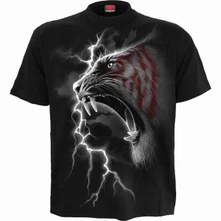 Mark Of The Tiger thumbnail